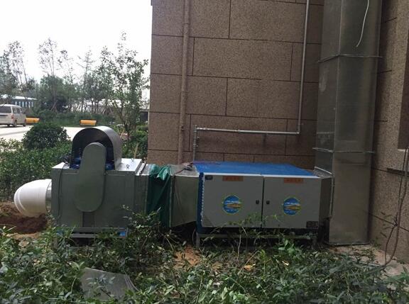 山东通风蜜桃APP免费观看加工